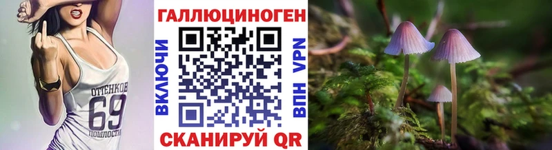 даркнет сайт  Агрыз  Псилоцибиновые грибы MAGIC MUSHROOMS 